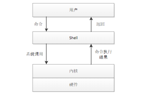 1649407659479_shell.png